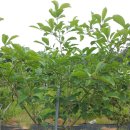 열음농장 이미지