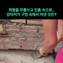 Respect 이미지