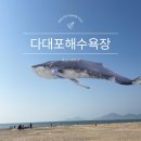 사하구-01 | 다대포해수욕장 고래 AR 놀이터 주차장 요금 축제정보 총정리