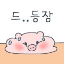 한석봉 족발서당 동탄북광장점 이미지
