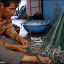 장호2리 이미지