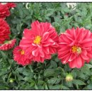 아시안당구장 이미지