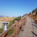 바람의 언덕 이미지