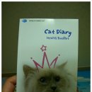 운남동물병원 이미지