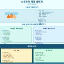 우림해양개발(주) | 산호초와 해양 생태계, 바다의 열대우림