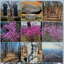 신3리 마을회관 | 419. 한국 700대명산 711. 용인 무봉산(舞鳳山)...