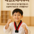하나린태권도 이미지