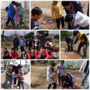 황등초등학교병설유치원 이미지