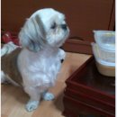 용현초등학교 이미지