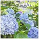 이조추어탕 | 전북 남원 카페 광한루원 주변 맛집 추천 BEST 5