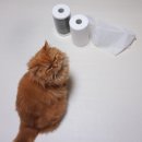 주식회사 아이에스비네트 | 고양이털제거 먼지청소에 유용한 정전기청소포 따꼬 청소용품