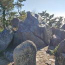 외나무약국 이미지