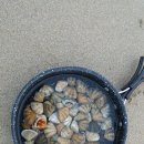 송정솔바람야영장 이미지