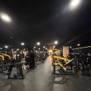 비비 피트니스 이미지