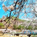 봉황대운동장 이미지