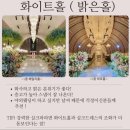 카시오페아 | 전주 N-Tower 카시오페아홀 본식 후기