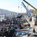 해남군-15 이미지