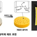 쌀종이로 폐수에서 '금'을 건진다 이미지