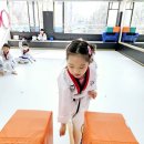 청솔태권도장 - 고양시 일산서구 강선로 96 | 청솔태권도장