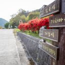 섬진주유소 네이버블로그