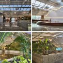 소디프 금강산랜드 이미지