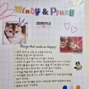 윙키핑키 | 선유도 윙키핑키 고양이카페 &amp; 키즈카페 아이와갈만한 곳