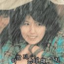 배따라기 이미지