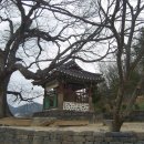 관음사지 이미지