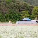 삼계2리 이미지