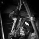 제이드림 이미지