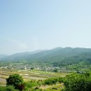하죽 이미지
