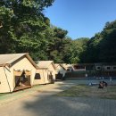 양지파인글램핑 이미지