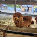 충현농장 이미지