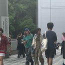 도쿄돔에서 민희진코어입는 일본팬들.jpg 이미지
