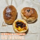 안양 호계동 빵집, 베이커리 로컬 맛집 네모브레드 웨이팅 후기 에그타르트 소금빵 단팥빵