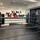 연세복싱 | [김포_구래] 복싱is심플 || 초보자도 쉽게 배우는 구래동 복싱!!🥊 체험 수업 후 등록 후기