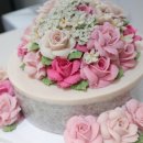 롤리 앤 폴리 이미지