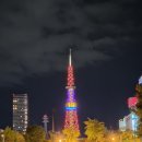 T DC마트 | 삿포로 2박3일 첫 자유여행 &amp;비에이/후라노 투어까지~