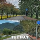 향로산로 이미지