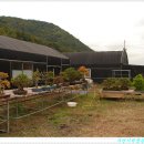 노력농장 이미지