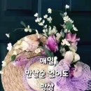 유하로R 이미지