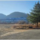 부성부동산중개사무소 네이버블로그
