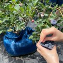 영온농장 이미지