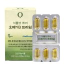 더데이뉴 쇼핑하우