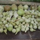 샘밭 농장 이미지