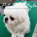 펫더스타일 이미지