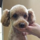 샐리동물병원 이미지