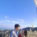 덕만주차장화장실 | 황매산 억새축제 2025 기간 주차장 등산코스 가을 국내여행지 추천