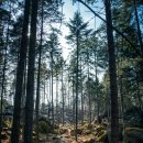 자연과 나 이미지