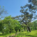 진평왕릉 화장실 이미지